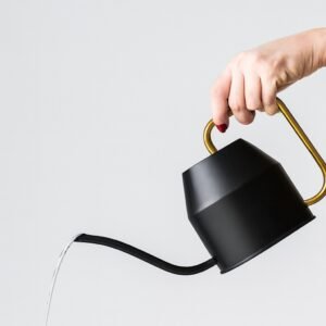 Regadera marfil negra